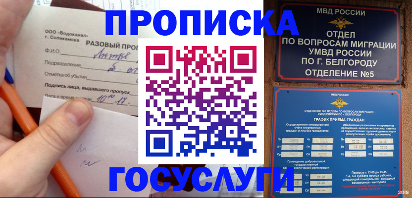 временная регистрация адрес в Димитровграде